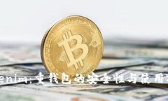 Tokenim：重钱包的安全性与使用指南
