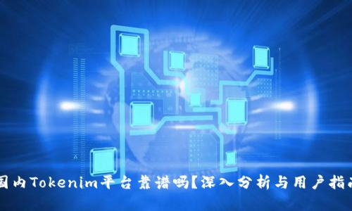 国内Tokenim平台靠谱吗？深入分析与用户指南