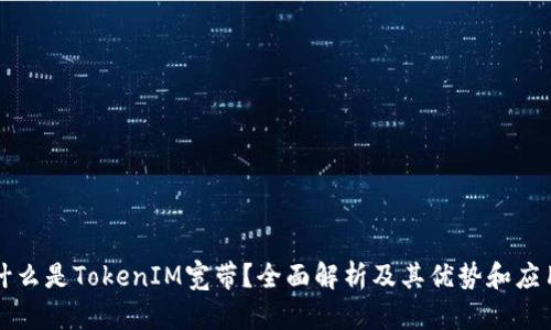 什么是TokenIM宽带？全面解析及其优势和应用