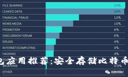 最佳BSV冷钱包应用推荐：安全存储比特币SV的完美选择