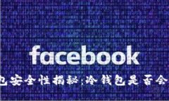冷钱包安全性揭秘：冷钱