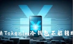 如何解决Tokenim冷钱包不能