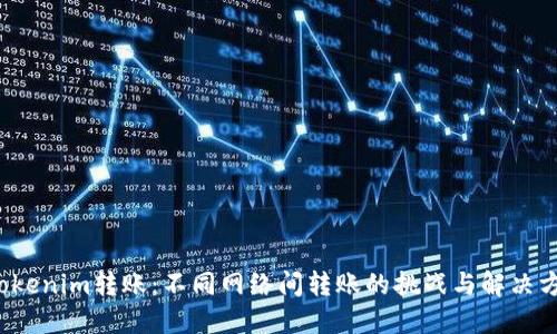  Tokenim转账：不同网络间转账的挑战与解决方案