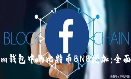 如何理解Tokenim钱包中的比特币BNB增加：全面解析与投资策略