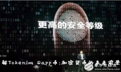 深入了解Tokenim Dapp币：加