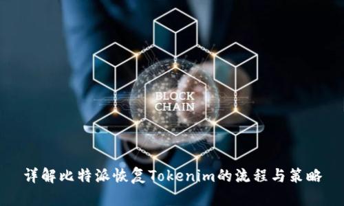 详解比特派恢复Tokenim的流程与策略