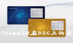 深入解析TokenIM在BSC上的应