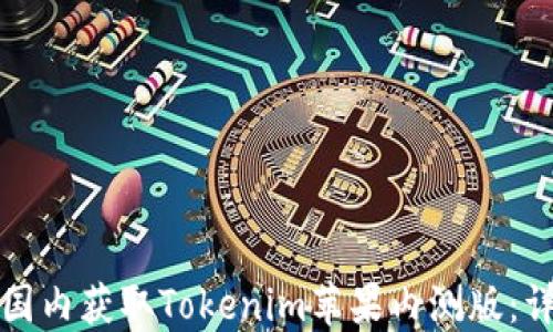 
如何在国内获取Tokenim苹果内测版：详细指南