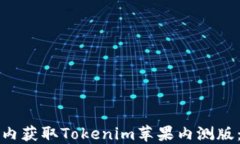 如何在国内获取Tokenim苹果