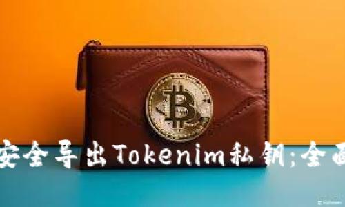 如何安全导出Tokenim私钥：全面指南