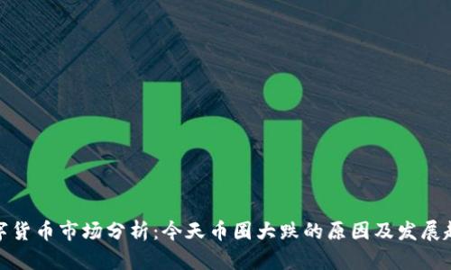 数字货币市场分析：今天币圈大跌的原因及发展趋势