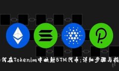 如何在Tokenim中映射BTM代币
