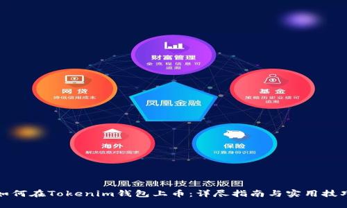 如何在Tokenim钱包上币：详尽指南与实用技巧