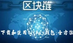 如何下载和使用BitPay钱包