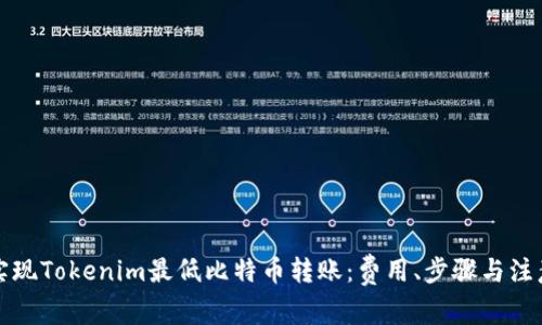 如何实现Tokenim最低比特币转账：费用、步骤与注意事项