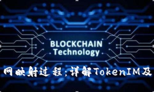 BTM主网映射过程：详解TokenIM及其应用