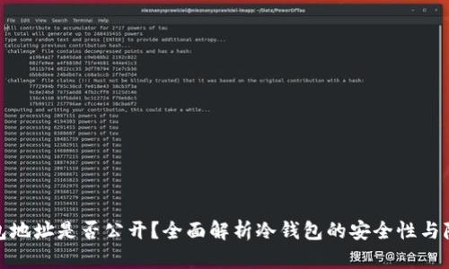 冷钱包地址是否公开？全面解析冷钱包的安全性与隐私性