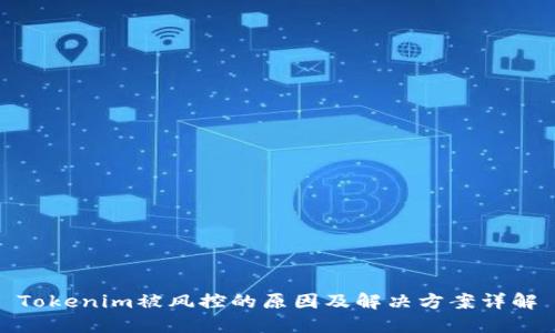 Tokenim被风控的原因及解决方案详解