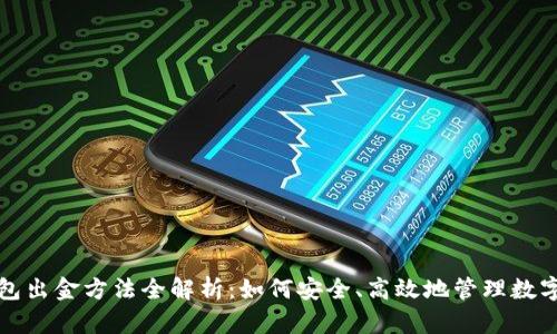 冷钱包出金方法全解析：如何安全、高效地管理数字资产