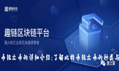 比特币铭文币的详细介绍：了解比特币铭文币的种类与应用