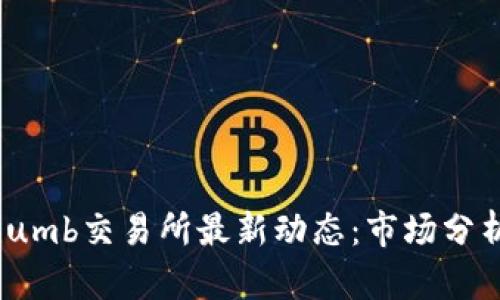 2023年Bithumb交易所最新动态：市场分析与投资指南