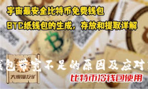 冷钱包带宽不足的原因及应对策略
