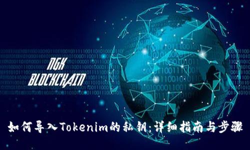 如何导入Tokenim的私钥：详细指南与步骤