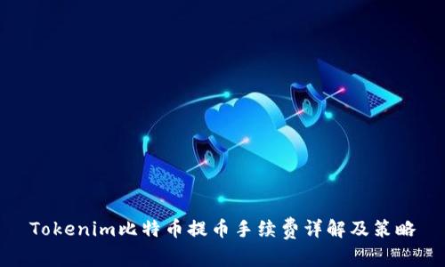 Tokenim比特币提币手续费详解及策略