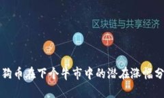 狗狗币在下个牛市中的潜