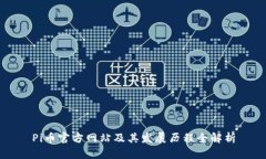 Pi币官方网站及其发展历程