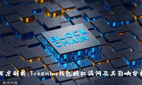 深度剖析：Tokenim钱包授权漏洞及其影响分析