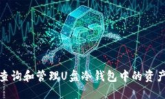 如何查询和管理U盘冷钱包