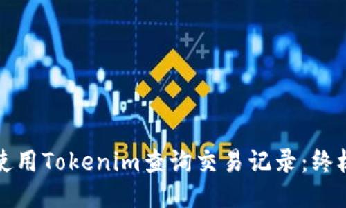 如何使用Tokenim查询交易记录：终极指南