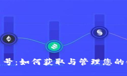 TokenIM交易号：如何获取与管理您的链上交易记录