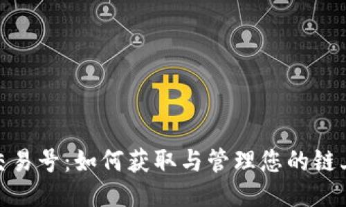 TokenIM交易号：如何获取与管理您的链上交易记录