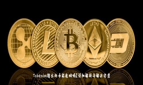 Tokenim转出的币能追回吗？详细解析与解决方案