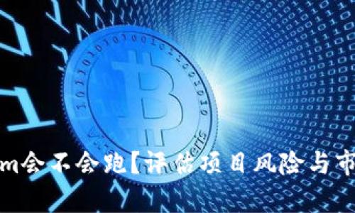 Tokenim会不会跑？评估项目风险与市场前景