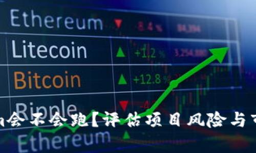 Tokenim会不会跑？评估项目风险与市场前景