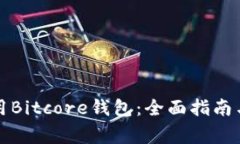 如何下载和使用Bitcore钱包