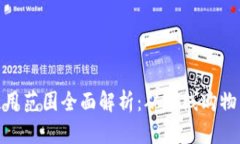 数字钱包使用范围全面解