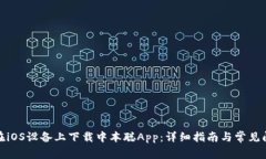 : 如何在iOS设备上下载中本