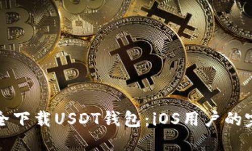 如何安全下载USDT钱包：iOS用户的完全指南