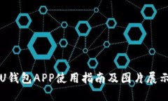 U钱包APP使用指南及图片展