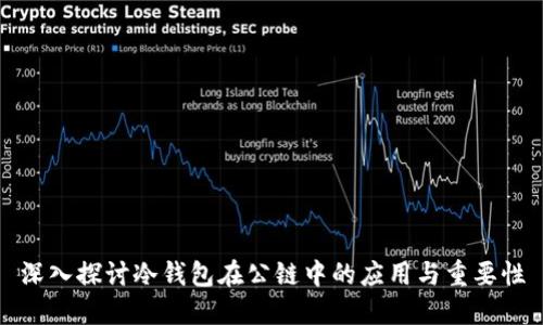 深入探讨冷钱包在公链中的应用与重要性
