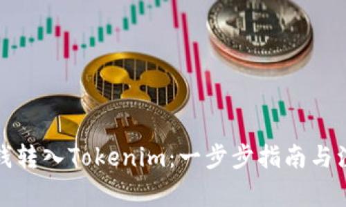 如何把钱转入Tokenim：一步步指南与注意事项