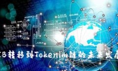 探索SHIB转移到Tokenim链的未