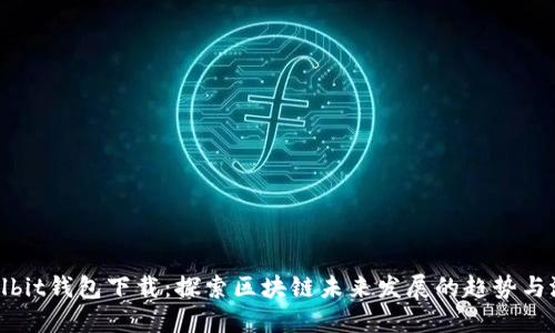 Coolbit钱包下载：探索区块链未来发展的趋势与潜力