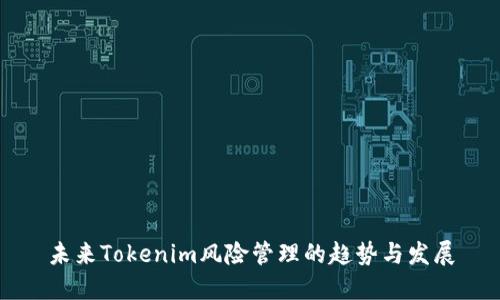 未来Tokenim风险管理的趋势与发展