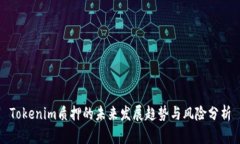 Tokenim质押的未来发展趋势与风险分析