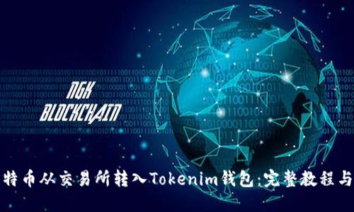 如何将比特币从交易所转入Tokenim钱包：完整教程与未来趋势